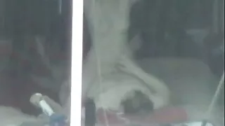 بشكل كبير ساكس اجنبي مترجم عربي حار أحمر يحب كل ملعقة و امرأة على أعلى المناصب