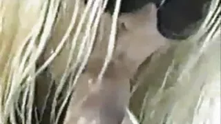 عاطفي افلام سكس اجنبية مترجمة عربي جديد في سن المراهقة غال جوهرة خبطت سيئة في موقف التبشيرية