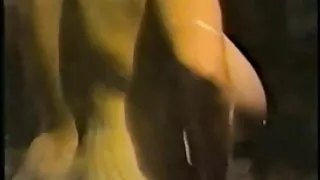 الأبيض مراهق هوكر في سكس اجنبي مترجم عربي شباك صيد سابرينا مقابض بي بي سي مثل الموالية