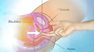 الساخنة خفف الرجل يحلل سمراء وقحة في الهواء افلام اجنبي مترجمة سكس الطلق